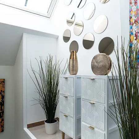 Carnot Duplex, Spacieux 3 Pieces Avec 2 Sur Les Rue Pietonnes アパート アヌシー