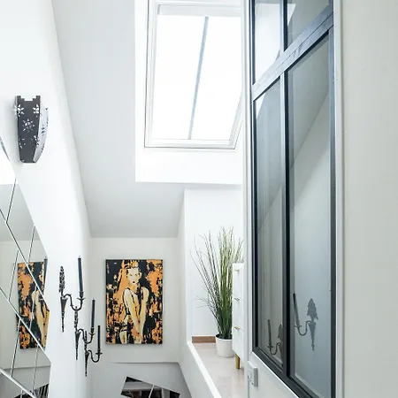 Carnot Duplex, Spacieux 3 Pieces Avec 2 Sur Les Rue Pietonnes *
