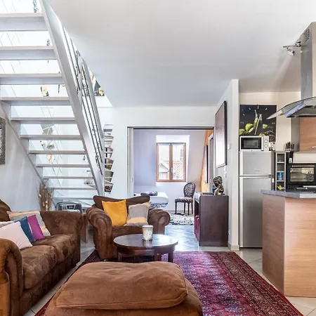 Carnot Duplex, Spacieux 3 Pieces Avec 2 Sur Les Rue Pietonnes * Annecy