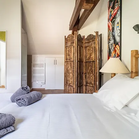 Carnot Duplex, Spacieux 3 Pieces Avec 2 Sur Les Rue Pietonnes Appartement Annecy