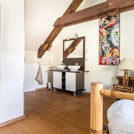 Appartement Carnot Duplex, Spacieux 3 Pieces Avec 2 Sur Les Rue Pietonnes *