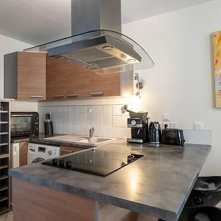 Carnot Duplex, Spacieux 3 Pieces Avec 2 Sur Les Rue Pietonnes Appartement Annecy