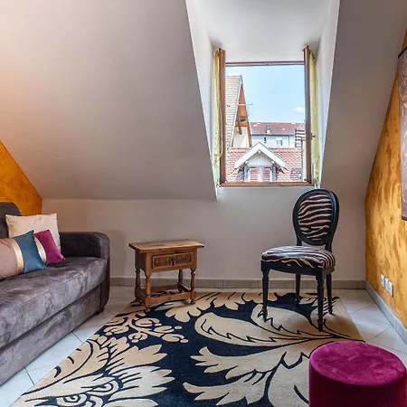 Appartement Carnot Duplex, Spacieux 3 Pieces Avec 2 Sur Les Rue Pietonnes
