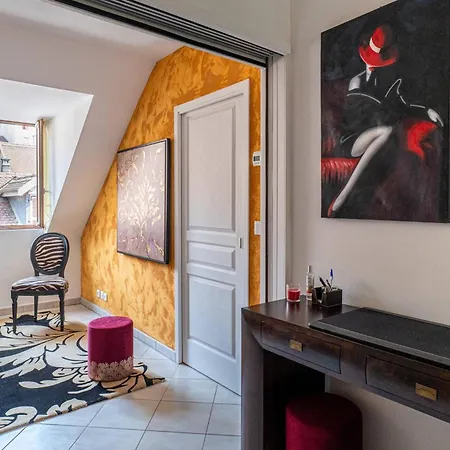 Carnot Duplex, Spacieux 3 Pièces Avec 2 Sur Les Rue Piétonnes * Annecy