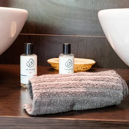 Carnot Duplex, Spacieux 3 Pieces Avec 2 Sur Les Rue Pietonnes