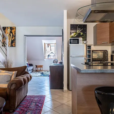Carnot Duplex, Spacieux 3 Pièces Avec 2 Sur Les Rue Piétonnes * Annecy